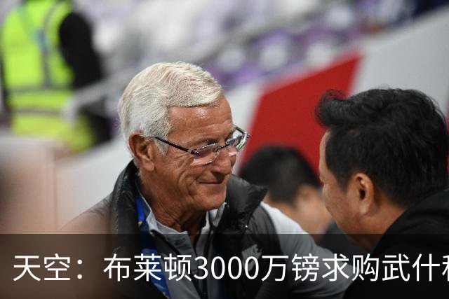 天空：布莱顿3000万镑求购武什科维奇，预计热刺对其估值超6000万