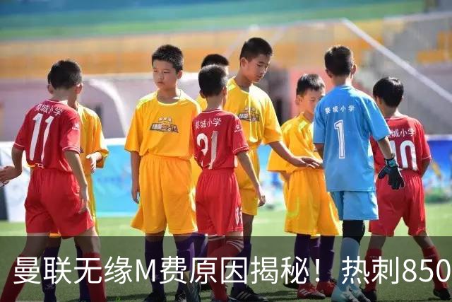 曼联无缘M费原因揭秘！热刺8500万钞能力截胡，没欧战凭啥狂花钱